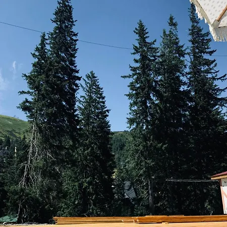 Hotel Julia Drahobrat