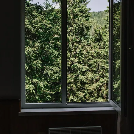 Julia Hotel Dragobrat